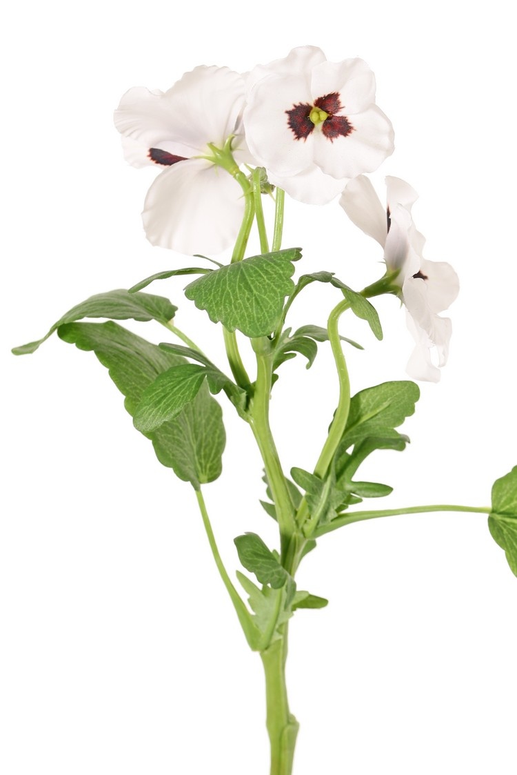 Viola, 3 flowers (2x Ø 6 cm, 1x Ø 4 cm), 1 bud & 12 leaves, 35 cm