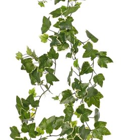 Hedera Gala slinger x148bl. 205cm UV-bestendig