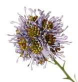 Alliumtak (Sierui) wild, 3x vertakt met 3 plastic bloemen (Ø 6 cm), 65 cm