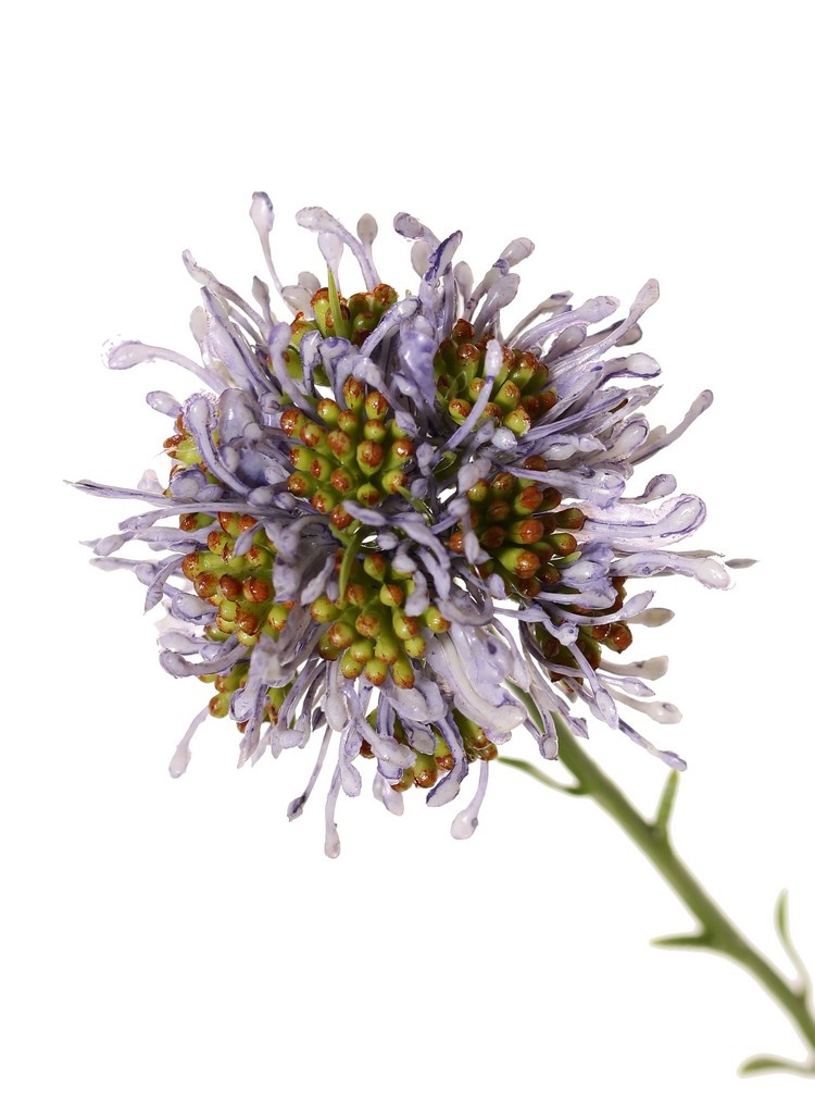 Allium branch (ornamental onion) wild, 3x branched with 3 plastic flowers, (Ø 6 cm), 65 cm