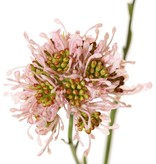 Rama de allium (cebolla ornamental) silvestre, 3x ramificada con 3 flores de plástico, (Ø 6 cm), 65 cm