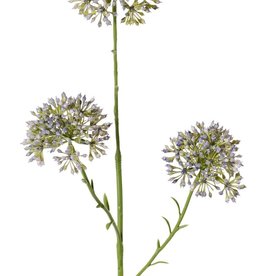 Allium branch (ornamental onion), 3x branched with 3 inflorescences (6.5 x 5 cm), 65 cm