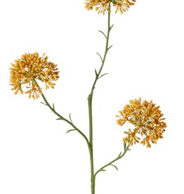 Rama de Allium (cebolla ornamental), 3x ramificada con 3 inflorescencias (6,5 x 5 cm), 65 cm