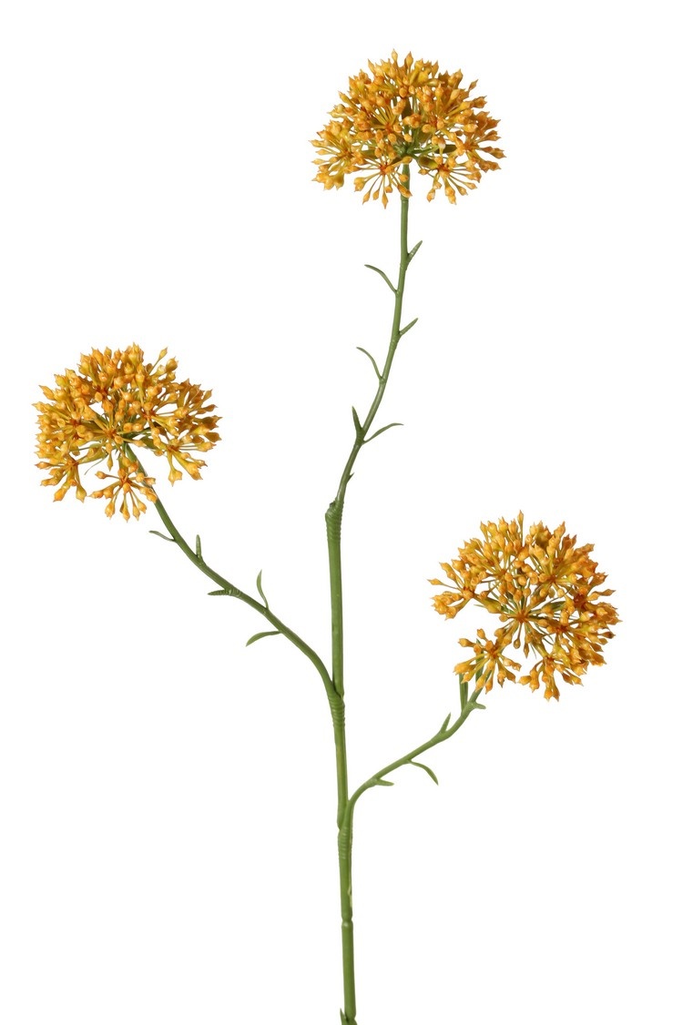 Rama de Allium (cebolla ornamental), 3x ramificada con 3 inflorescencias (6,5 x 5 cm), 65 cm