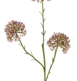 Allium-Zweig (Zierlauch), 3x verzweigt mit 3 Blütenständen (6,5 x 5 cm), 65 cm