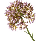 Allium-Zweig (Zierlauch), 3x verzweigt mit 3 Blütenständen (6,5 x 5 cm), 65 cm