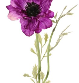 Anemone 'Nora', Ø 10 cm & 4 sets of leaves, 53 cm