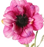 Anemone 'Nora', Ø 10 cm & 4 sets of leaves, 53 cm