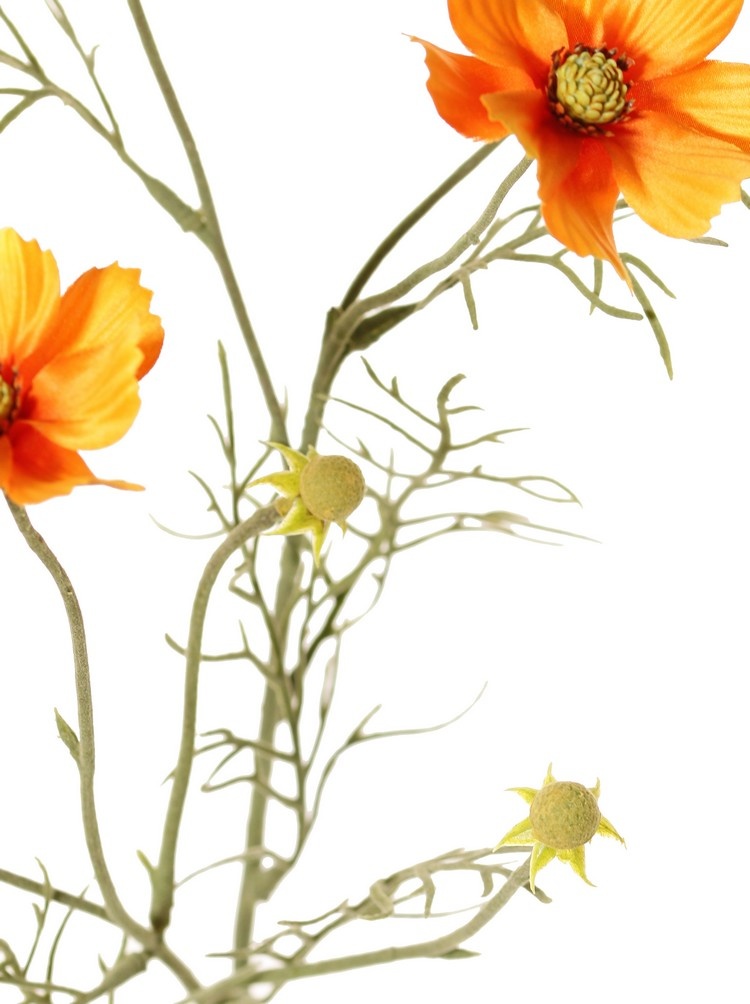 Cosmea (Cosmos bipinnatus) met 5 bloemen (3x Ø 7 cm, 2x 5 cm), 3 knoppen & 7 bladtoeven, 72 cm