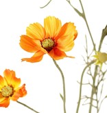 Cosmea (Cosmos bipinnatus) met 5 bloemen (3x Ø 7 cm, 2x 5 cm), 3 knoppen & 7 bladtoeven, 72 cm