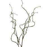 Salix branch (willow) small, 2 x branched, coated, 74 cm