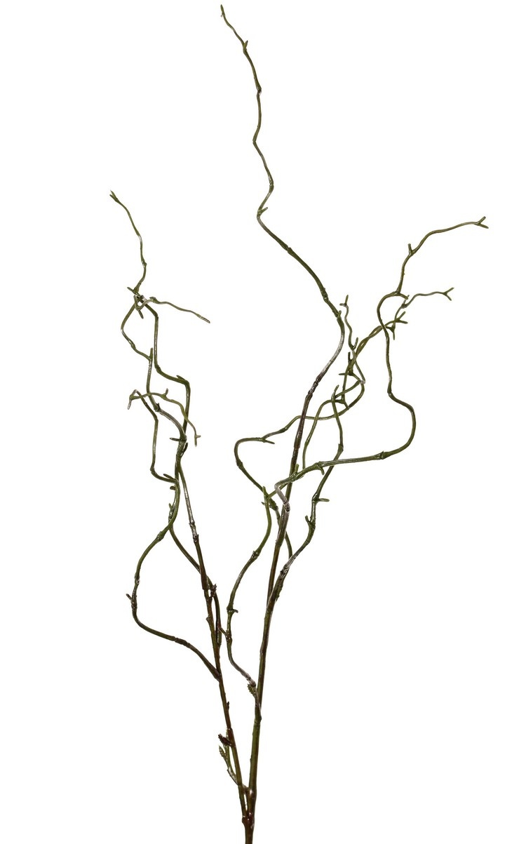 Salix branch (willow) small, 2 x branched, coated, 74 cm