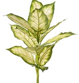 Dieffenbachia con 16 hojas de poliéster, Ø 30 cm, H. 40 cm - retardante de llama