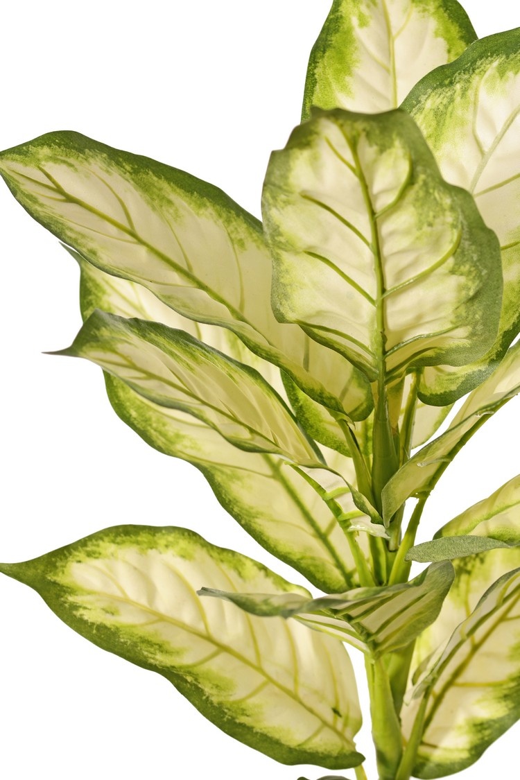 Dieffenbachia met 16 polyester bladeren, Ø 30 cm, H. 40 cm - brandvertragend