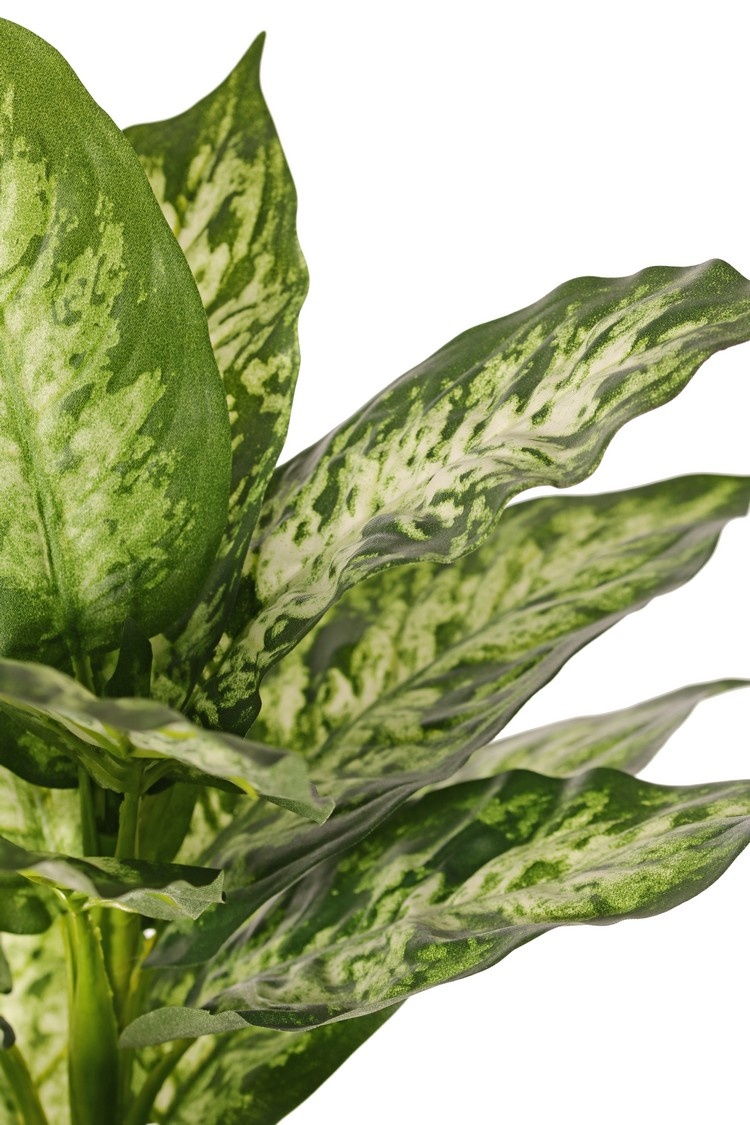 Dieffenbachia with 16 polyester leaves, Ø 30 cm, H. 40 cm - fire retardant