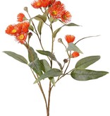 Eucalyptus branch, flowering, 4x branched with 16 flowers, 7 buds & 15 leaves, 100 cm