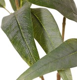 Rama de eucalipto, floración, 4x ramificada con 16 flores, 7 yemas y 15 hojas, 100 cm