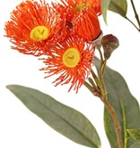 Eucalyptus branch, flowering, 4x branched with 16 flowers, 7 buds & 15 leaves, 100 cm