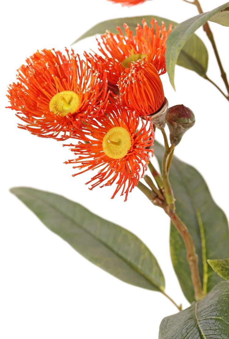 Rama de eucalipto, floración, 4x ramificada con 16 flores, 7 yemas y 15 hojas, 100 cm