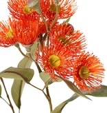 Eucalyptus branch, flowering, 4x branched with 16 flowers, 7 buds & 15 leaves, 100 cm