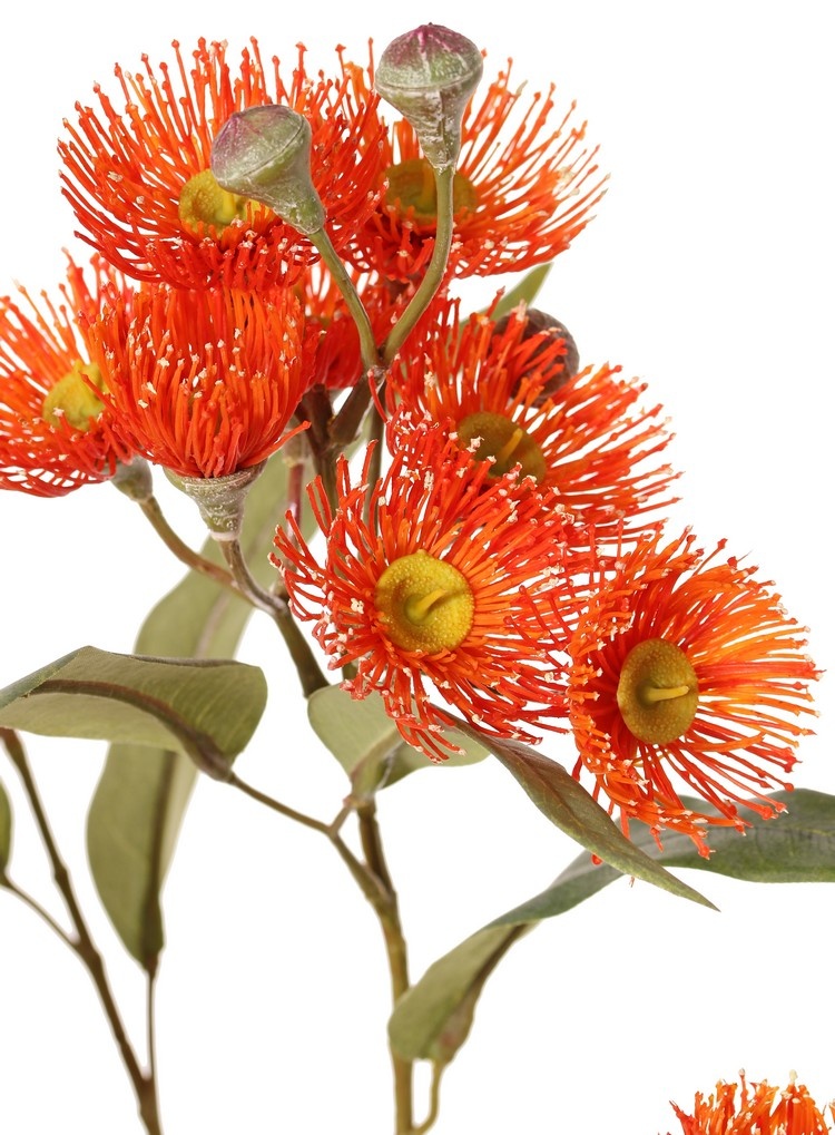 Eucalyptus branch, flowering, 4x branched with 16 flowers, 7 buds & 15 leaves, 100 cm