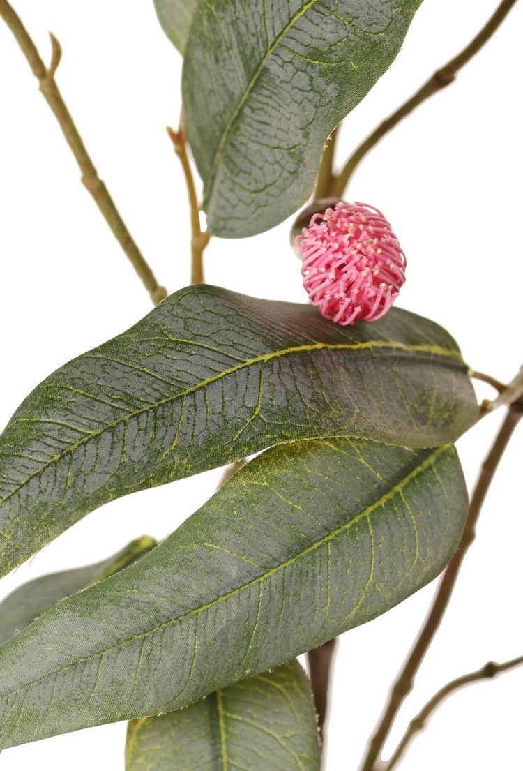 Eukalyptuszweig, blühend, 4-fach verzweigt mit 16 Blüten, 7 Knospen & 15 Blättern, 100 cm