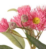 Eucalyptustak (Gomboom) bloeiend, 4x vertakt met 16 bloemen, 7 knoppen & 15 bladeren, 100 cm