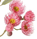 Eucalyptustak (Gomboom) bloeiend, 4x vertakt met 16 bloemen, 7 knoppen & 15 bladeren, 100 cm