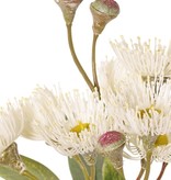Eukalyptuszweig, blühend, 4-fach verzweigt mit 16 Blüten, 7 Knospen & 15 Blättern, 100 cm