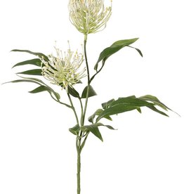 Grevillea, 2 flores, (Ø 10 cm / Ø 8 cm) & 25 hojas, 76 cm