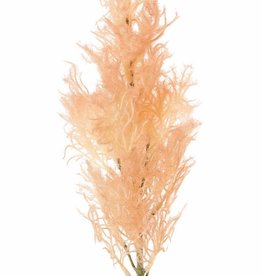 Smoke tree (Cotinus) with one seed head (27 x 10 cm), 68 cm