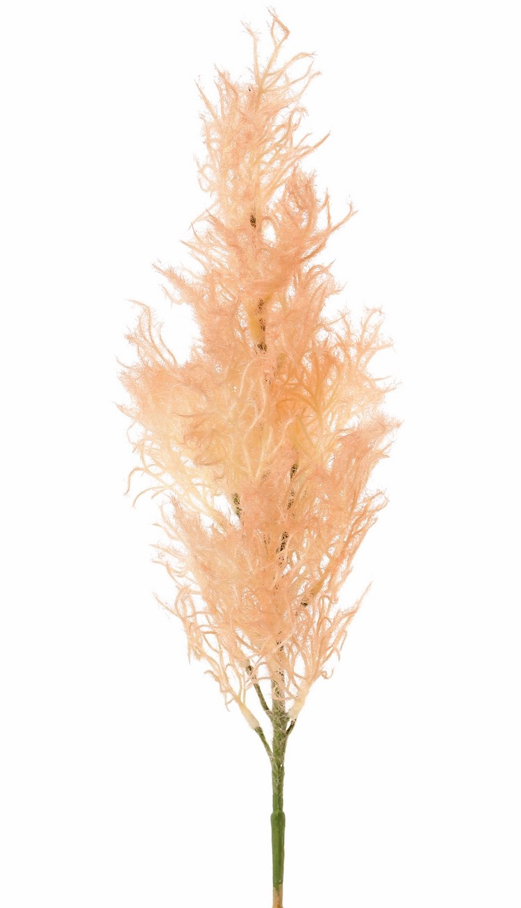 Smoke tree (Cotinus) with one seed head (27 x 10 cm), 68 cm