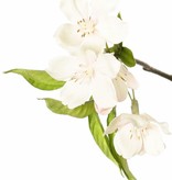 Pear Blossom Branch (Pyrus) 3x branched with 33 flowers, 9 flower buds & 65 leaves, 115 cm
