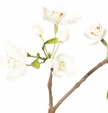 Pear Blossom Branch (Pyrus) 3x branched with 33 flowers, 9 flower buds & 65 leaves, 115 cm