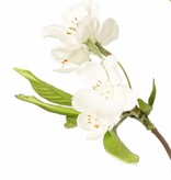 Pear Blossom Branch (Pyrus) 3x branched with 33 flowers, 9 flower buds & 65 leaves, 115 cm