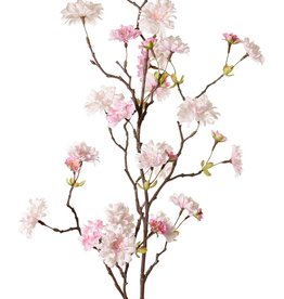 Pfirsichblütenzweig (Prunus persica) 'XL', mit 23 Blüten, 9 Blütenknospen & 10 Blattbüscheln, 110 cm