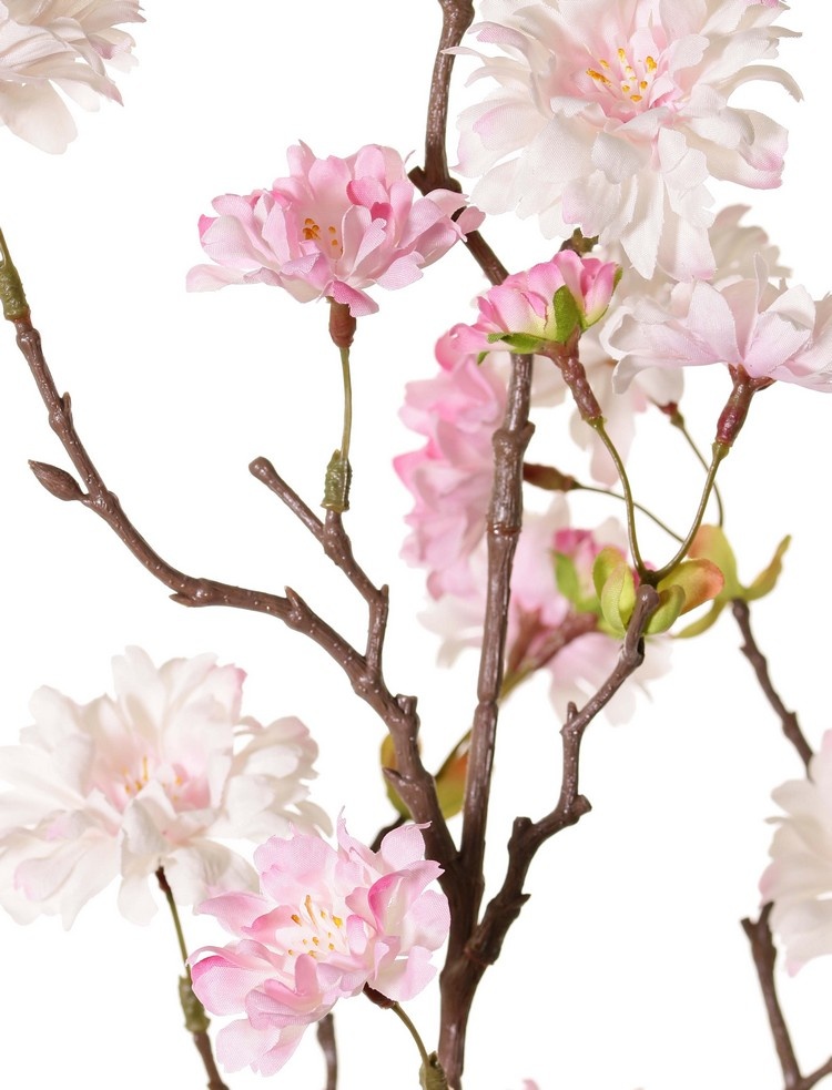 Peach Blossom Branch (Prunus persica) 'XL', with 23 flowers, 9 flower buds & 10 leaf tufts, 110 cm