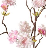 Peach Blossom Branch (Prunus persica) 'XL', with 23 flowers, 9 flower buds & 10 leaf tufts, 110 cm