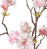 Perzikbloesemtak (Prunus persica) 'XL', met 23 bloemen, 9 bloemknoppen & 10 bladtoefjes, 110 cm