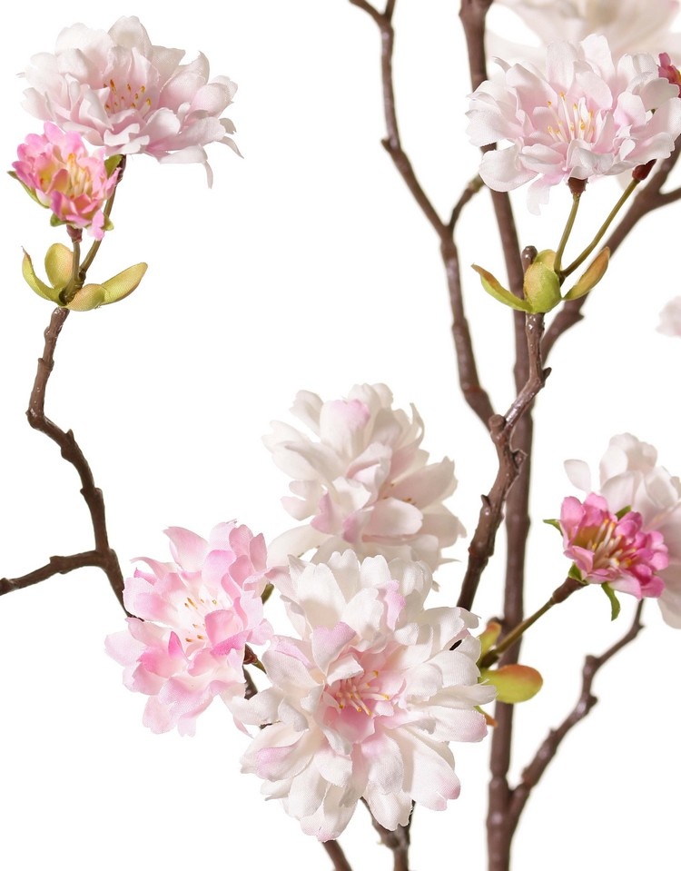 Peach Blossom Branch (Prunus persica) 'XL', with 23 flowers, 9 flower buds & 10 leaf tufts, 110 cm