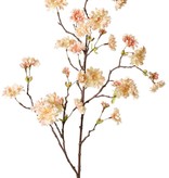 Rama de Flor de Durazno (Prunus persica) 'XL', con 23 flores, 9 botones florales y 10 matas de hojas, 110 cm