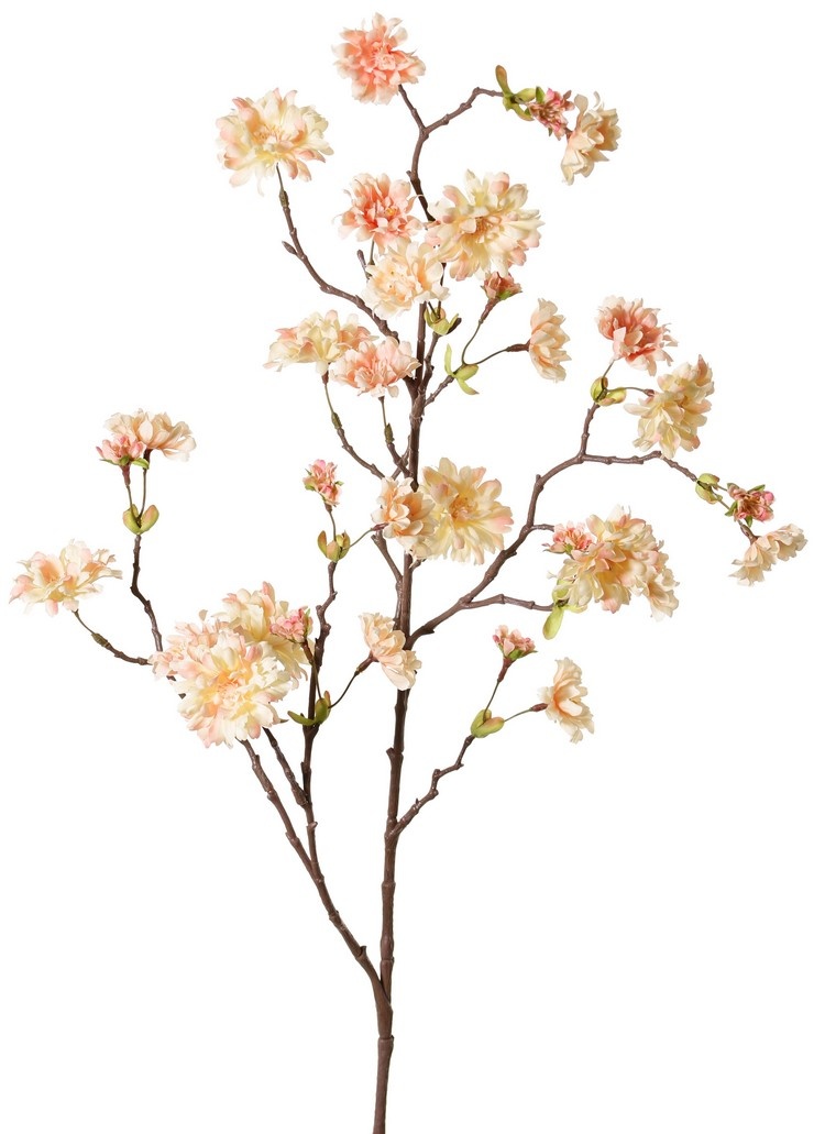 Perzikbloesemtak (Prunus persica) 'XL', met 23 bloemen, 9 bloemknoppen & 10 bladtoefjes, 110 cm