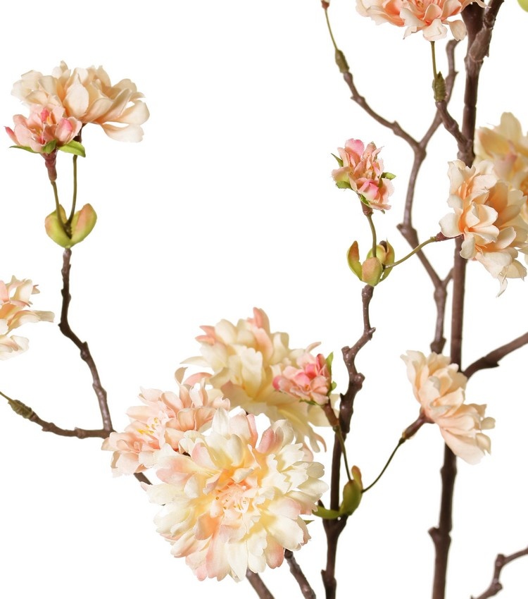 Peach Blossom Branch (Prunus persica) 'XL', with 23 flowers, 9 flower buds & 10 leaf tufts, 110 cm