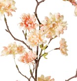 Peach Blossom Branch (Prunus persica) 'XL', with 23 flowers, 9 flower buds & 10 leaf tufts, 110 cm