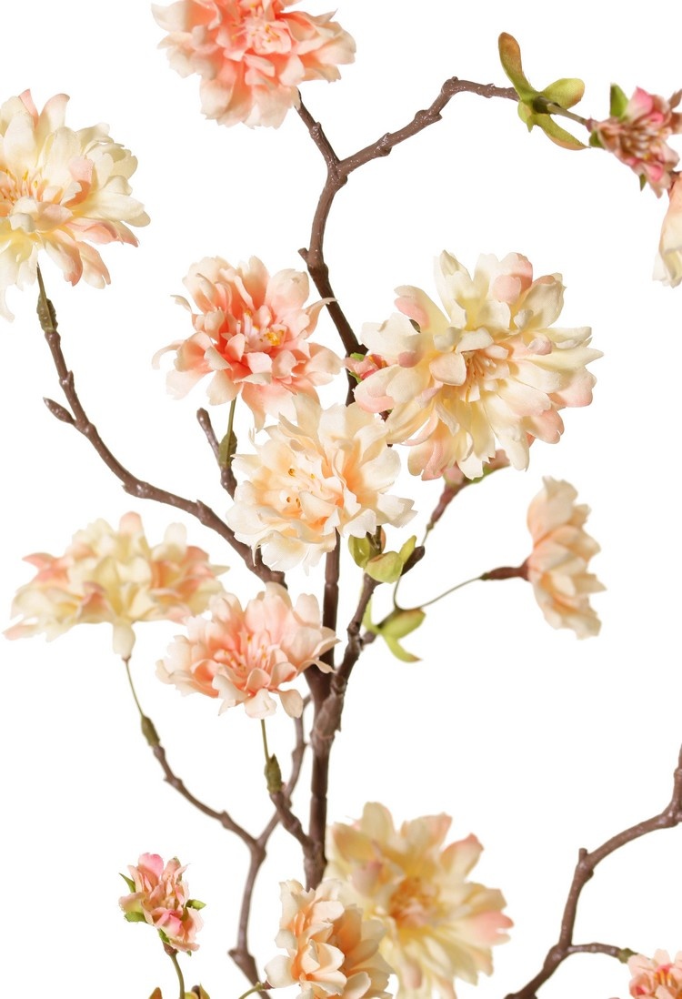 Peach Blossom Branch (Prunus persica) 'XL', with 23 flowers, 9 flower buds & 10 leaf tufts, 110 cm