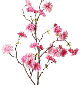 Perzikbloesemtak (Prunus persica) 'XL', met 23 bloemen, 9 bloemknoppen & 10 bladtoefjes, 110 cm