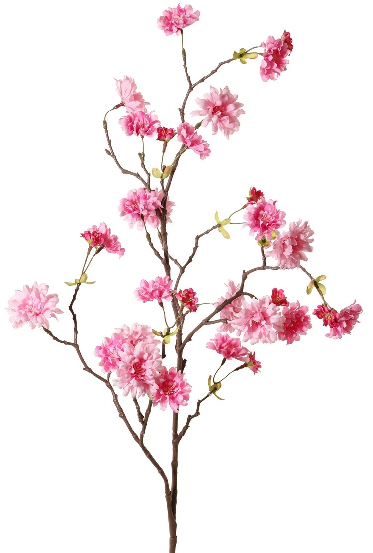 Perzikbloesemtak (Prunus persica) 'XL', met 23 bloemen, 9 bloemknoppen & 10 bladtoefjes, 110 cm