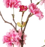 Peach Blossom Branch (Prunus persica) 'XL', with 23 flowers, 9 flower buds & 10 leaf tufts, 110 cm