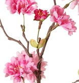 Perzikbloesemtak (Prunus persica) 'XL', met 23 bloemen, 9 bloemknoppen & 10 bladtoefjes, 110 cm