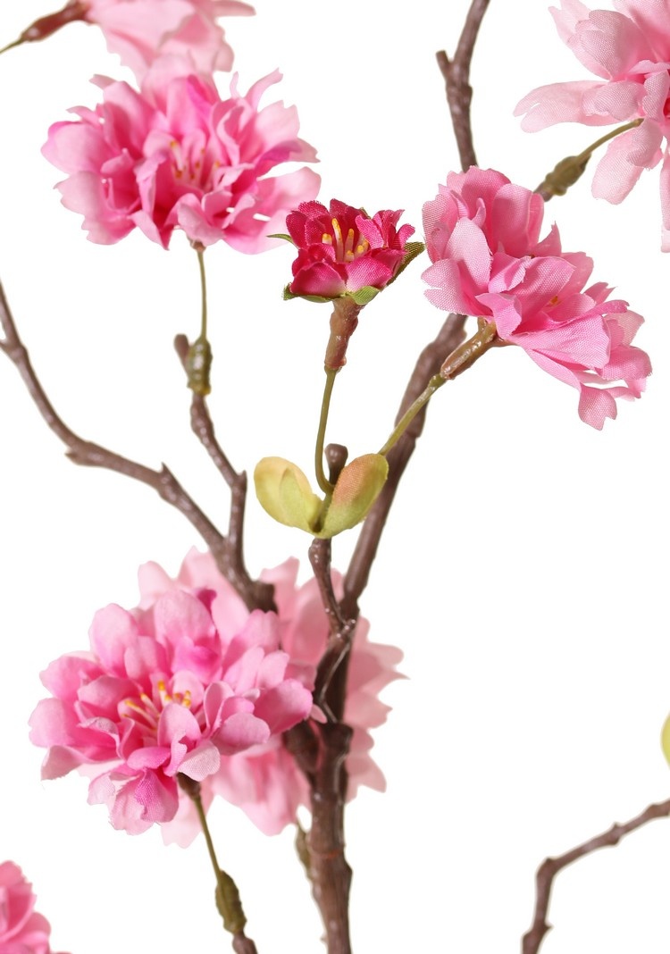 Peach Blossom Branch (Prunus persica) 'XL', with 23 flowers, 9 flower buds & 10 leaf tufts, 110 cm